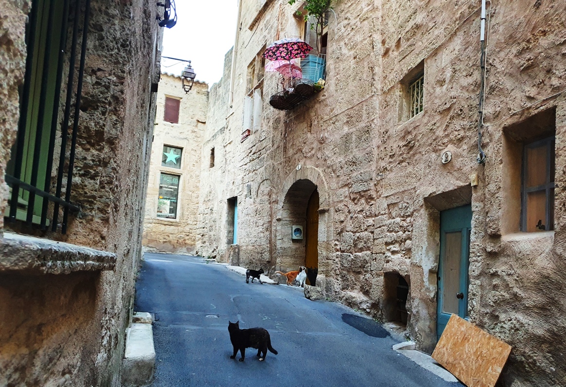 Pézenas Pézenas