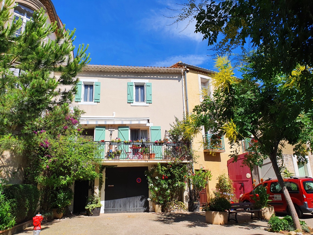 Alignan-du-Vent with mimosas Alignan-du-Vent with mimosas