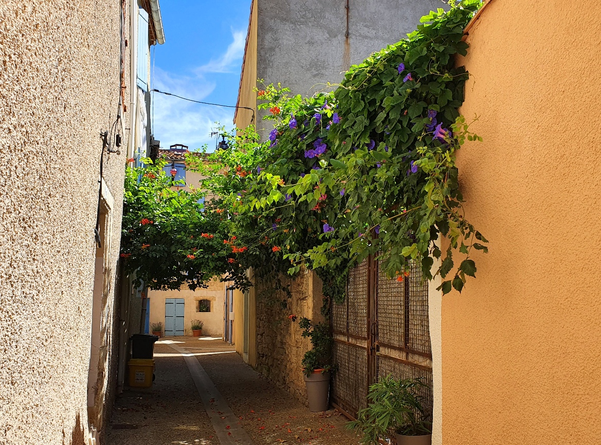 Alignan-du-Vent Alignan-du-Vent