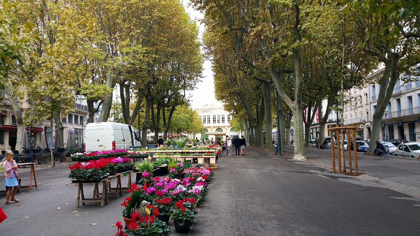 Béziers flower market Béziers flower market