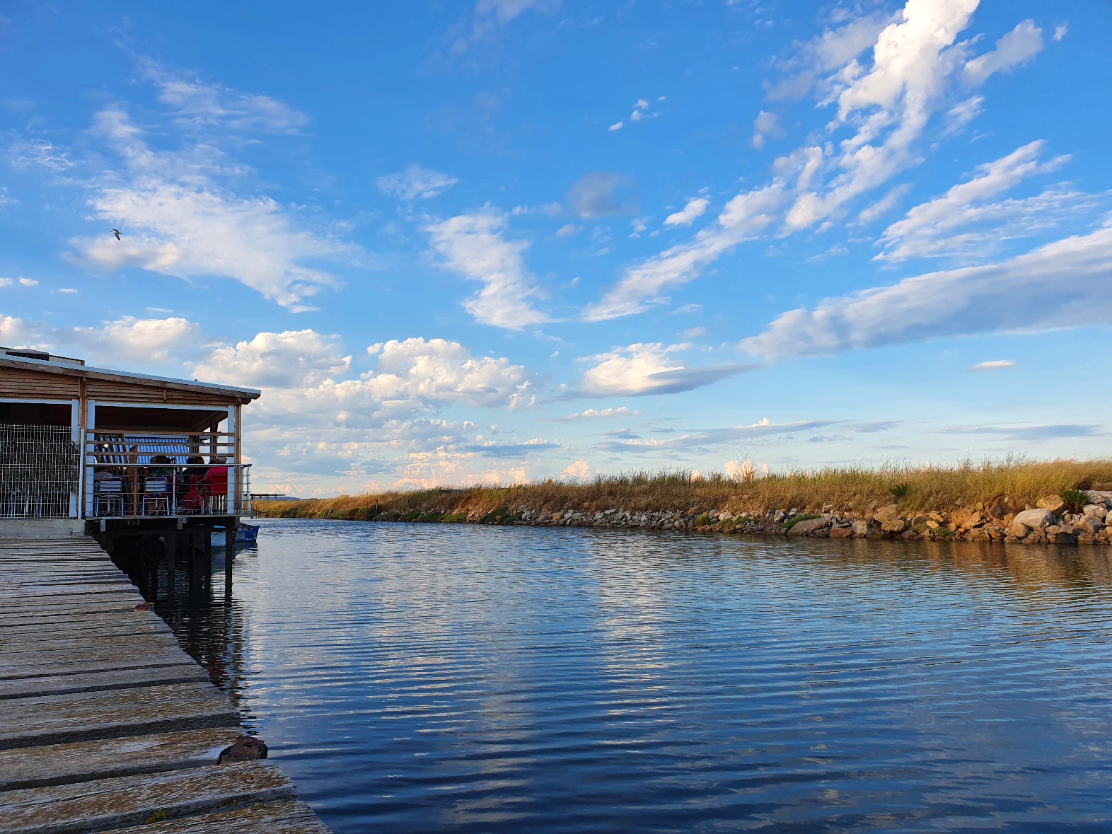 Marseillan Étang