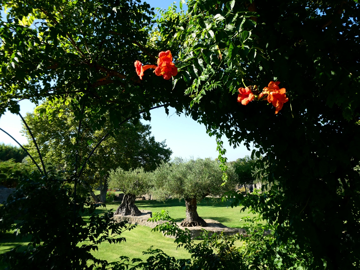 Jardin de Saint Adrien, Servian