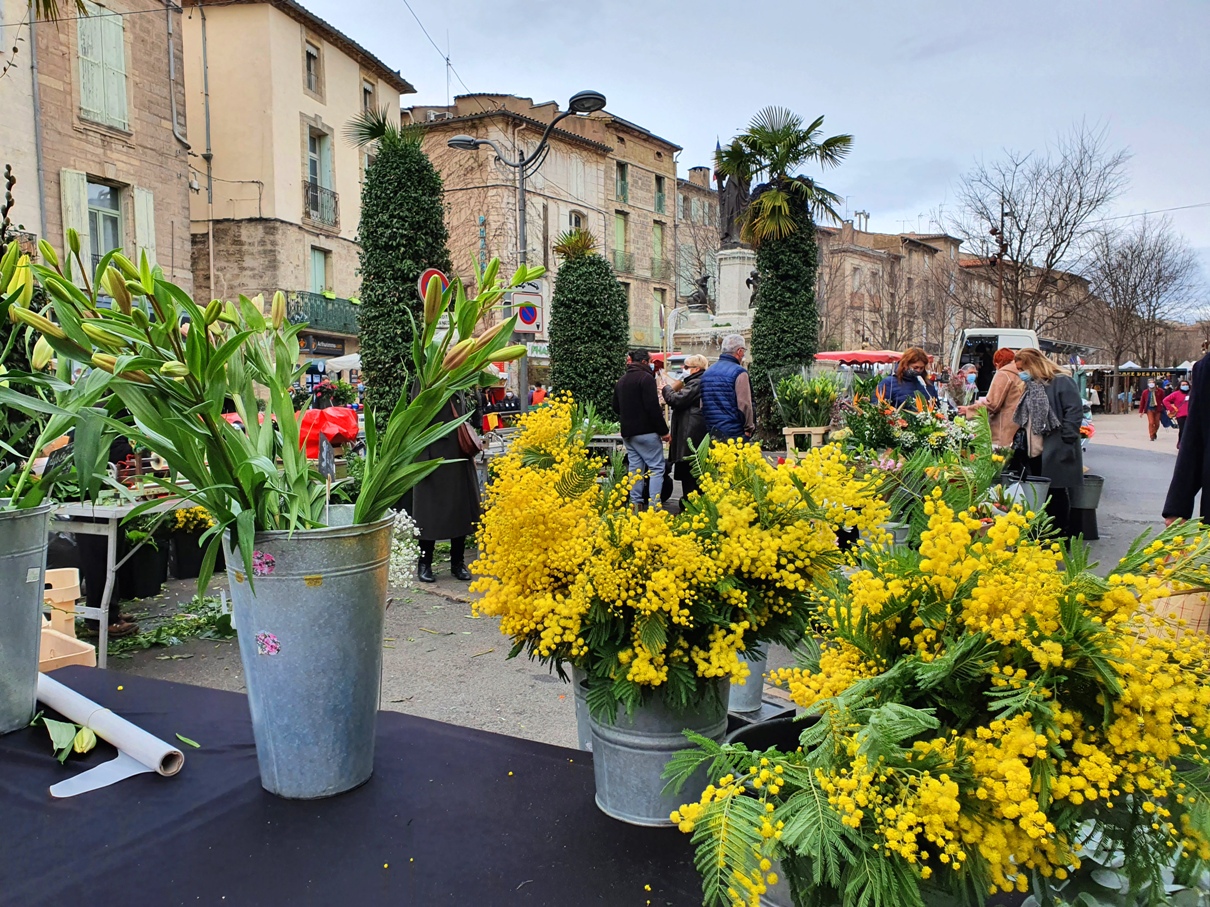 Pézenas market | marché | Markt | mercado Pézenas market | marché | Markt | mercado