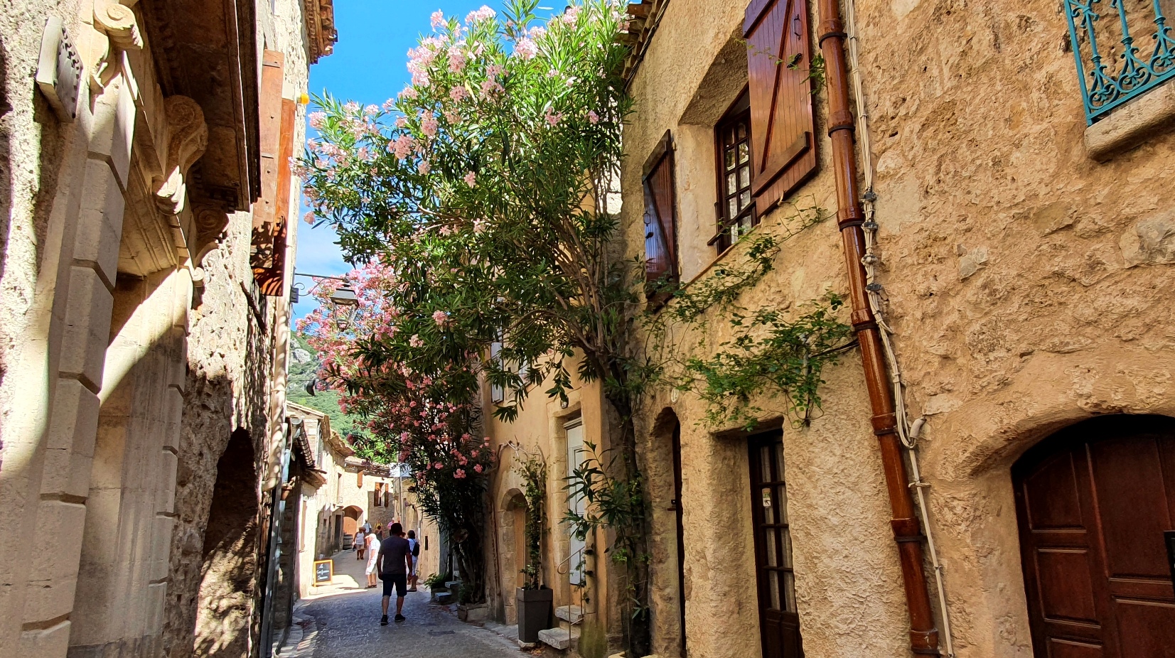 Saint Guilheme-le-Desert - 08
